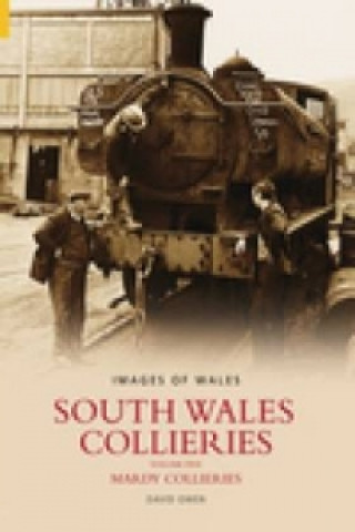 Könyv South Wales Collieries Volume 5 David Owen