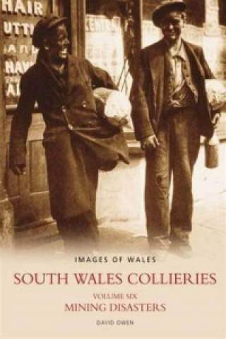 Könyv South Wales Collieries Volume 6: Mining disasters David Owen