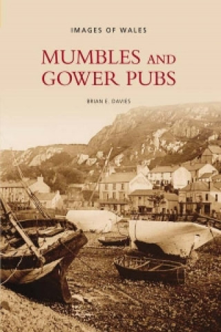 Knjiga Mumbles and Gower Pubs Brian Davies