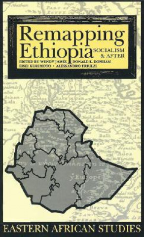 Könyv Remapping Ethiopia James