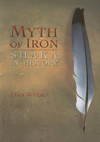 Kniha Myth of Iron Dan Wylie