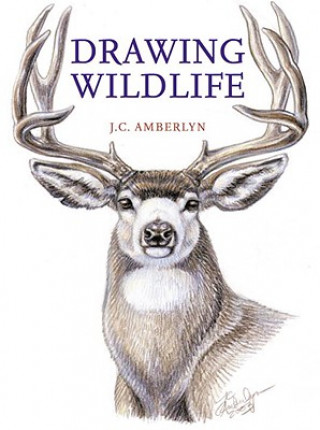 Buch Drawing Wildlife J C Amberlyn