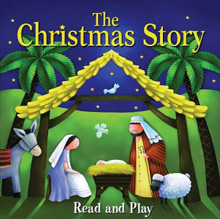Könyv Christmas Story Juliet David