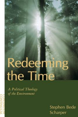 Book Redeeming the Time Stephen Bede Scharper
