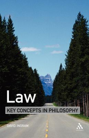 Carte Law: Key Concepts in Philosophy D Ingram