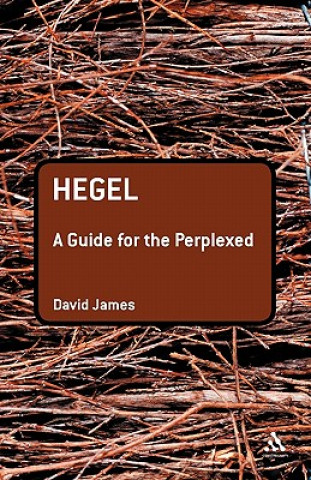 Kniha Hegel: A Guide for the Perplexed David James
