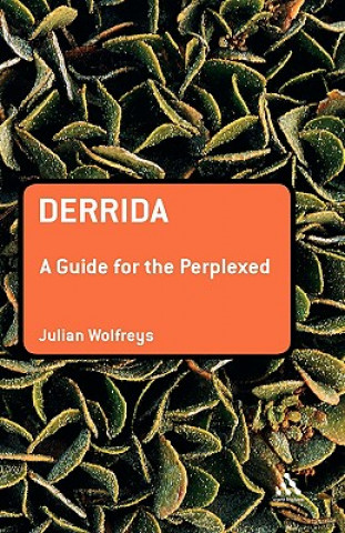 Kniha Derrida: A Guide for the Perplexed Julian Wolfreys