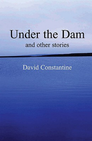 Kniha Under the Dam David Constantine