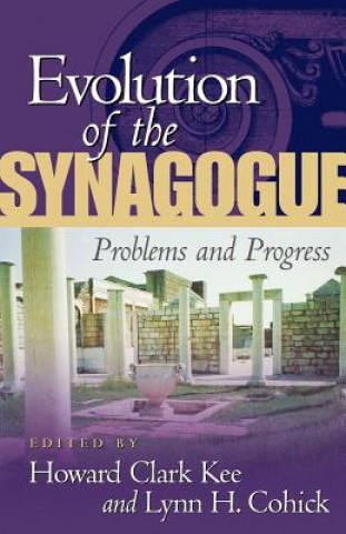 Könyv Evolution of the Synagogue Howard