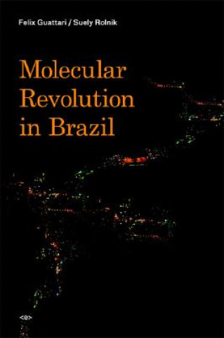Kniha Molecular Revolution in Brazil Felix Guattari