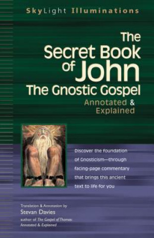 Libro Secret Book of John Stevan Davies