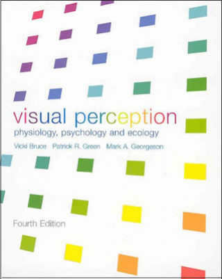 Könyv Visual Perception Vicki Bruce