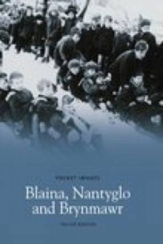 Könyv Blaina, Nantyglo and Brynmawr Trevor Rowson