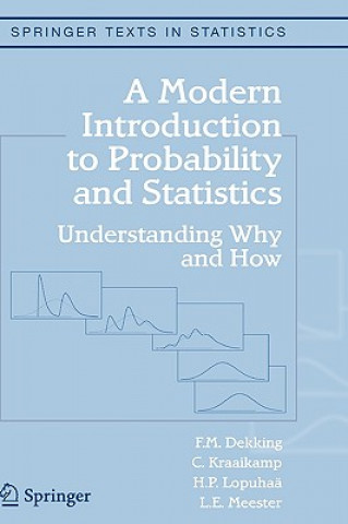 Kniha Modern Introduction to Probability and Statistics F M Dekkling