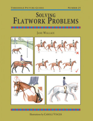 Kniha Solving Flatwork Problems Jane Wallace
