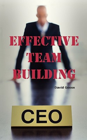 Buch Effective Team Building David Goose