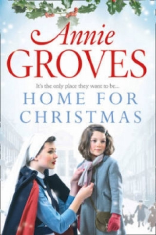 Kniha Home for Christmas Annie Groves