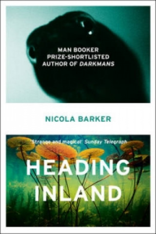 Kniha Heading Inland Nicola Barker