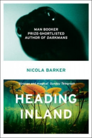 Buch Heading Inland Nicola Barker