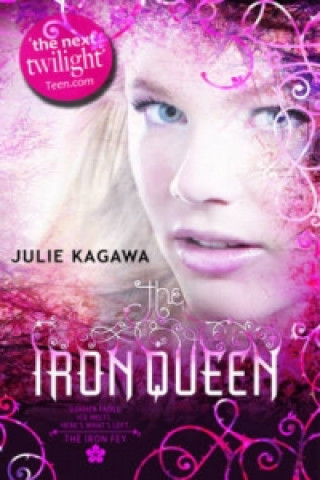 Книга Iron Queen Julie Kagawa