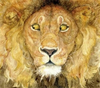 Carte Lion and the Mouse Jerry Pinkney