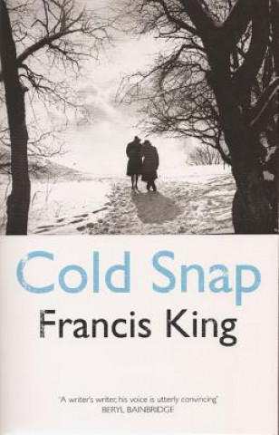 Kniha Cold Snap Francis King