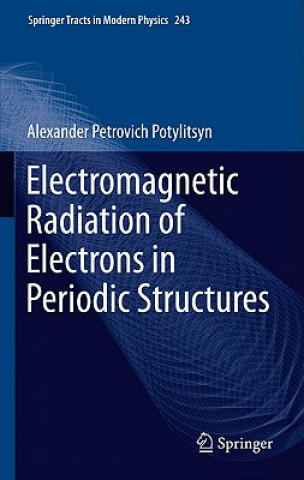 Könyv Electromagnetic Radiation of Electrons in Periodic Structures Alexander Petrovich Potylitsyn