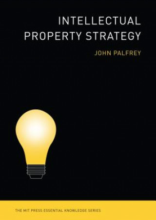 Book Intellectual Property Strategy John Palfrey