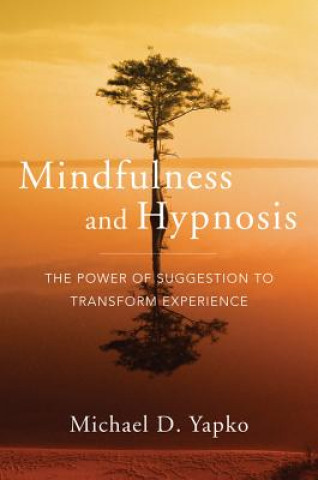 Carte Mindfulness and Hypnosis Michael Yapko