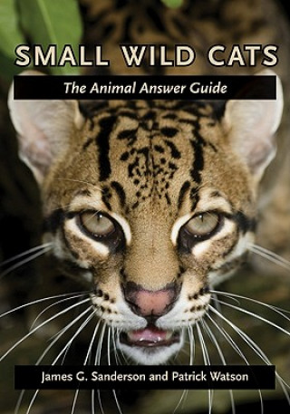 Kniha Small Wild Cats James G Sanderson