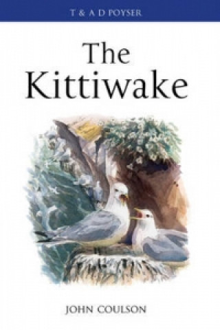 Carte Kittiwake John Coulson