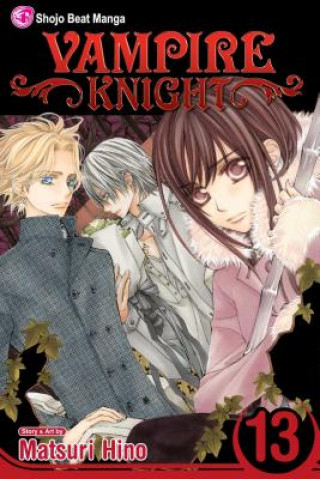 Könyv Vampire Knight, Vol. 13 Matsuri Hino