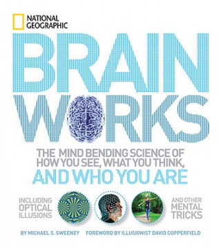 Kniha Brainworks Michael S. Sweeney