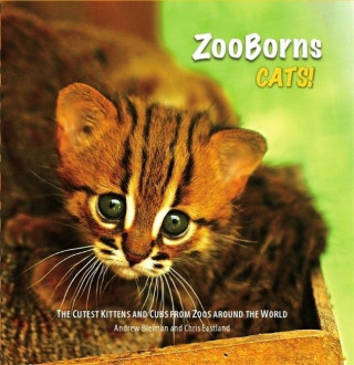 Kniha ZooBorns: Cats Andrew Bleiman