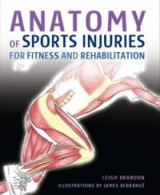 Kniha Anatomy of Sports Injuries Leigh Brandon