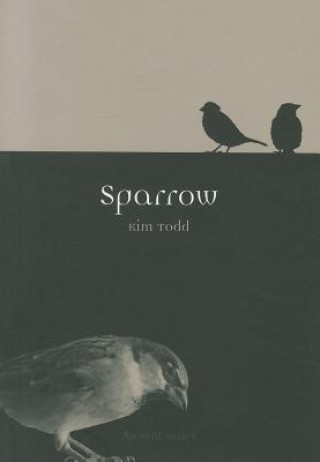 Knjiga Sparrow Kim Todd