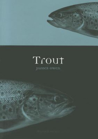 Książka Trout James Owen