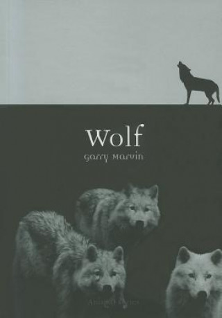 Kniha Wolf Garry Marvin
