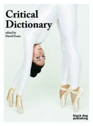 Carte Critical Dictionary David Evans