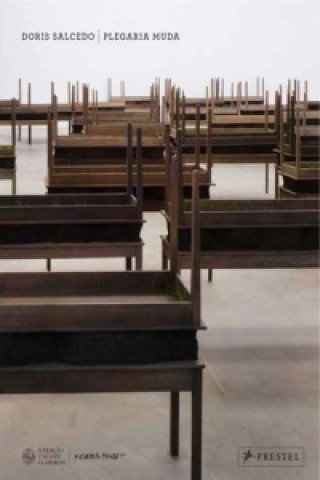 Kniha Doris Salcedo Doris Salcedo