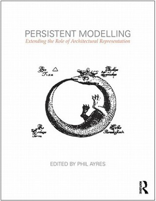 Книга Persistent Modelling Phil Ayres