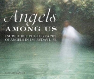 Könyv Angels Among Us Skye Alexander