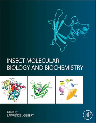 Könyv Insect Molecular Biology and Biochemistry Lawrence Gilbert