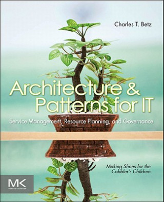 Livre Architecture and Patterns for IT Service Management, Resource Planning, and Governance Charles Betz