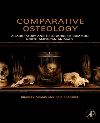 Kniha Comparative Osteology Bradley Adams