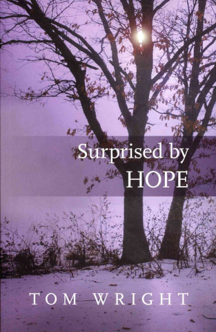 Libro Surprised by Hope Tom Wright