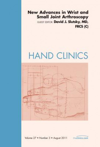 Könyv New Advances in Wrist and Small Joint Arthroscopy, An Issue of Hand Clinics David J Slutsky