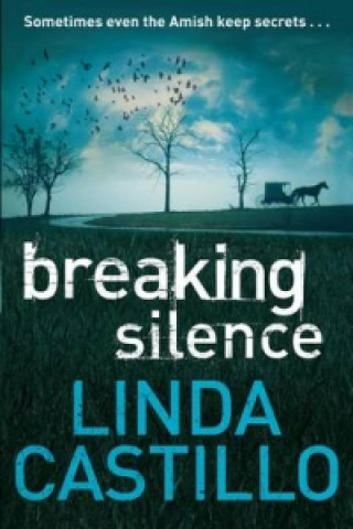Kniha Breaking Silence Linda Castillo