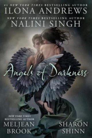 Книга Angels Of Darkness Ilona Andrews