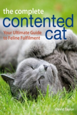 Carte Complete Contented Cat David Taylor